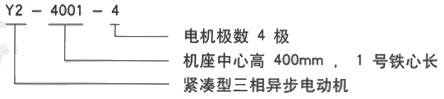 YR系列(H355-1000)高压YJTG-160M1-8A/4KW三相异步电机西安西玛电机型号说明